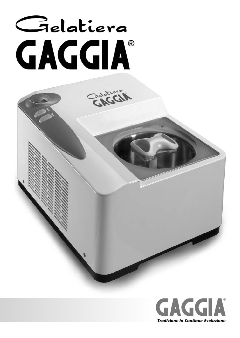 Manuale Gaggia Gelatiera Macchina del gelato