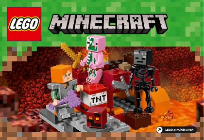 set 21139 Minecraft