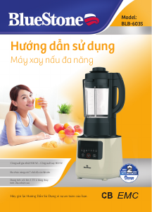 Hướng dẫn sử dụng BlueStone BLB-6035 Máy xay sinh tố