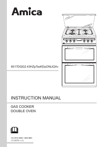 Manual Amica 608DGG2Tsx Range