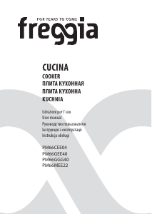 Instrukcja Freggia PM66MEE22AN Kuchnia