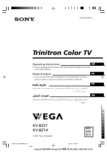 Handleiding Sony KV-BZ14M70 Televisie