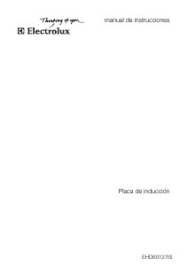 Manual de uso Electrolux EHD60127IS Placa