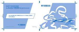 Handleiding Yamaha FZS1000T (2004) Motor