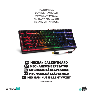 Bedienungsanleitung Connect IT CKB-2591-CS Tastatur