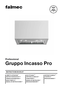Manual de uso Falmec Gruppo Incasso Pro Campana extractora