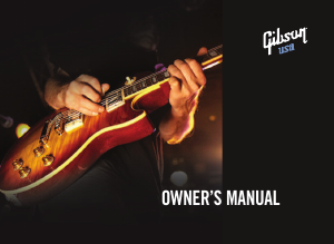 Manual Gibson Les Paul Birdseye Guitar