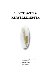 Használati útmutató Panasonic SD-BT10P Kenyérsütő
