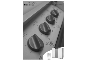 Руководство Electrolux FSB 60 P Котел центрального отопления