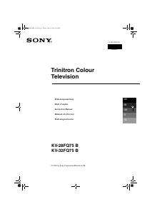 Manuale Sony KV-28FQ75B Televisore