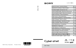 Manual de uso Sony Cyber-shot DSC-TX20 Cámara digital