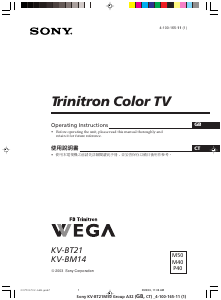 Manual Sony KV-BT21P40 Television