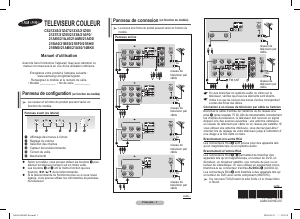Mode d’emploi Samsung CS29B850F1 Téléviseur