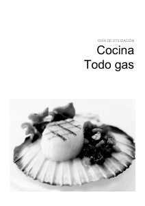 Manual de uso Brandt KG1350W Cocina