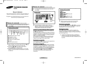 Mode d’emploi Samsung CS-21Z30MA Téléviseur