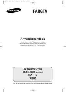 Bruksanvisning Samsung CW-29M206P TV