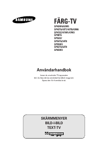 Bruksanvisning Samsung SP-47W3HF1 TV