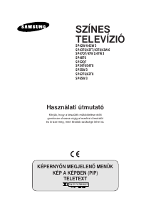 Használati útmutató Samsung SP43T7HF Televízió