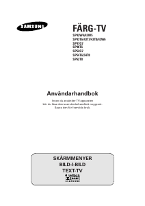 Bruksanvisning Samsung SP43T8HP TV