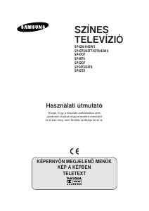 Használati útmutató Samsung SP43T8HP Televízió