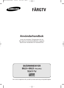 Bruksanvisning Samsung WS-32Z308P TV