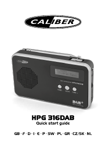 Instrukcja Caliber HPG316DAB Radio