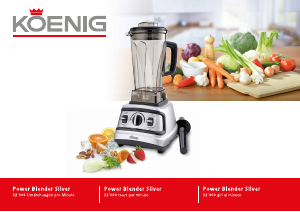 Bedienungsanleitung Koenig B04303 Standmixer