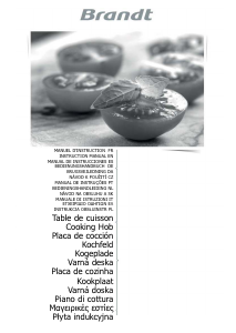 Εγχειρίδιο Brandt BPI6464B Εστία κουζίνας