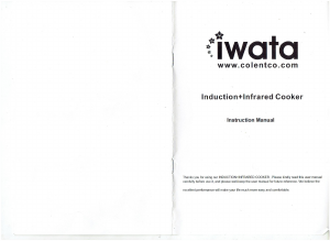 Handleiding Iwata CM20IC-02 Kookplaat