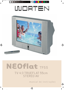 Manual Worten TF55 Neoflat Televisor