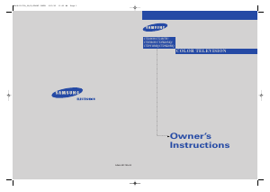 Handleiding Samsung CT-29V10MQ Televisie