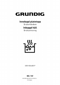 Bruksanvisning Grundig GIEH 834480 P Häll