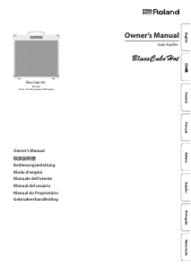 Manuale Roland Blues Cube Hot Amplificatore per chitarra