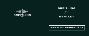 Manuale Breitling for Bentley Barnato 42 Orologio da polso