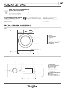 Bedienungsanleitung Whirlpool FFWDB 964369 WV EE Waschtrockner