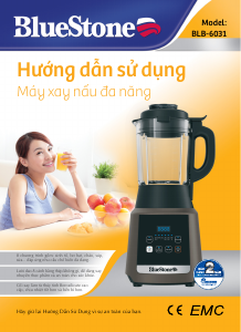 Handleiding BlueStone BLB-6031 Blender