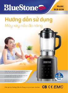 Handleiding BlueStone BLB-6038 Blender