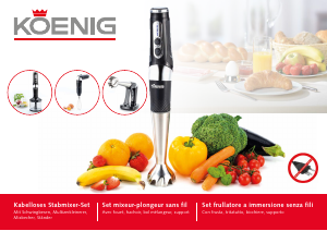 Manuale Koenig B04117 Frullatore a mano