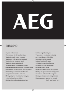Manual de uso AEG B18CS100 Clavadora