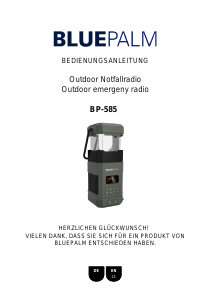 Handleiding Bluepalm BP-585 Radio