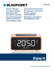 Manual Blaupunkt CR 65 BT Radio cu ceas