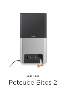 Manual Petcube Bites 2 Pet Feeder