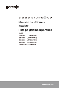 Manual Gorenje GW641XHF Plită