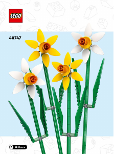 Manual Lego set 40747 Creator Daffodils