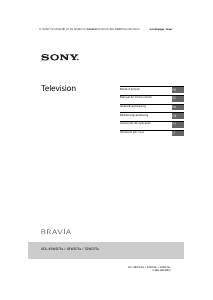 Manuale Sony Bravia KDL-49WD759 LCD televisore