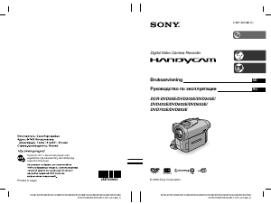 Руководство Sony DCR-DVD202E Камкордер