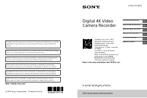 Manuale Sony FDR-AX33 Videocamera