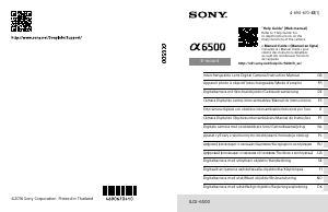 Bruksanvisning Sony Alpha ILCE-6500 Digitalkamera