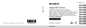 Használati útmutató Sony Cyber-shot DSC-H300 Digitális fényképezőgép