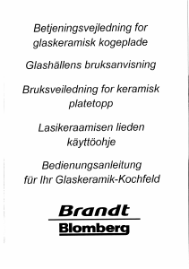 Bruksanvisning Brandt HKH26B1N Kokeplate